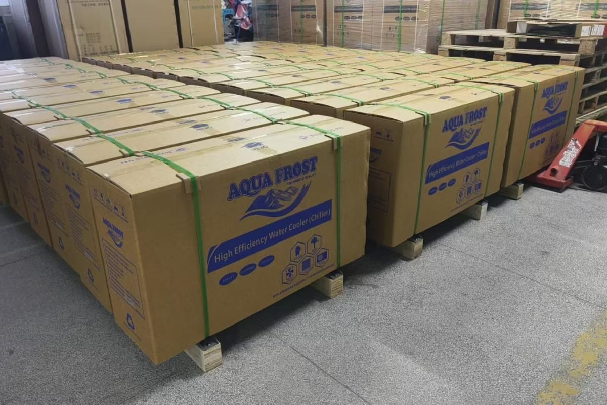 WhatsApp Image 2026-03-02 at 9.35.52 PM